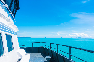 viaje a Crucero Crown Princess