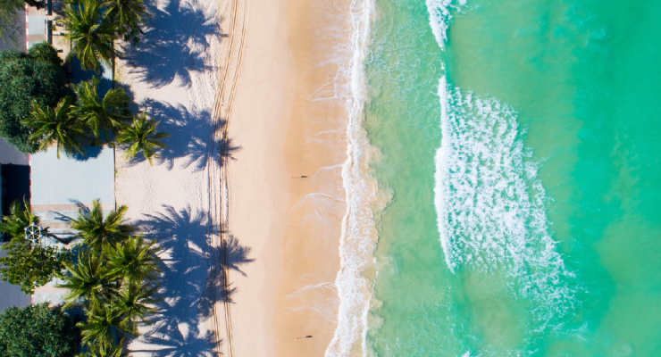 Vista aérea de una playa de Punta Cana con palmeras y aguas turquesas