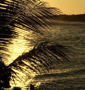 Playa tropical de República Dominicana durante el atardecer con palmeras frente al mar
